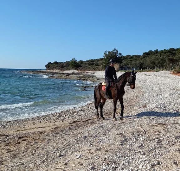 Maurice mit Pferd