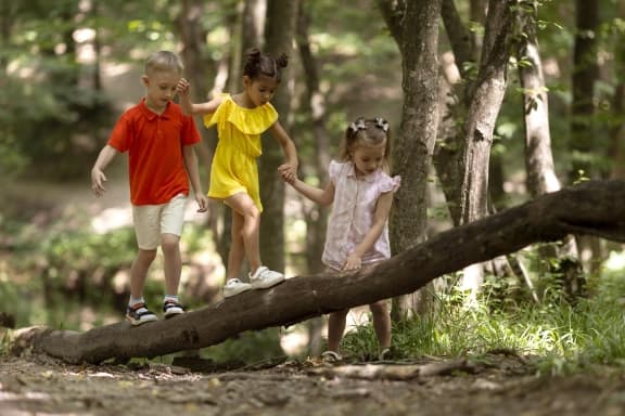 Verzauberter Waldspielplatz