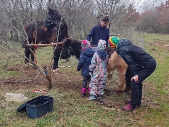 Reittherapie auf der Farmica Bale