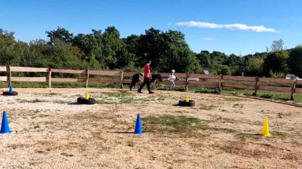 Horse with two persons in parcour